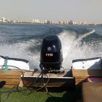 موتور 115