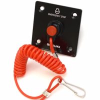 پنل سوئیچ مخفی