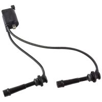 کویل سوزوکی