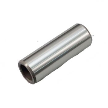 گژن پین